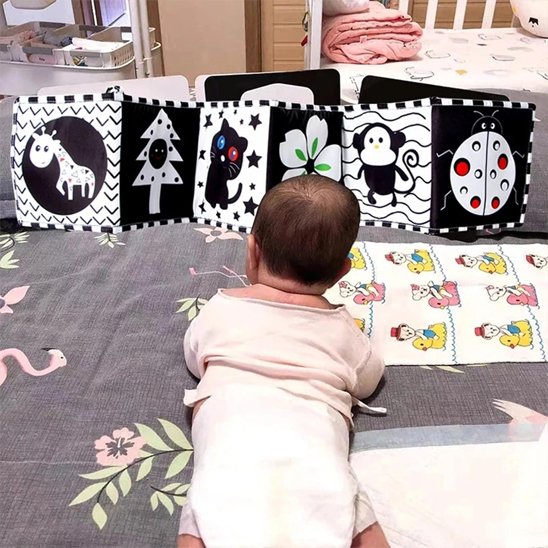 livre pour bebe animaux noir blanc